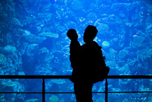 Silhouettes Of Family Watching Underwater Life. Father And Son In The Big Aquarium