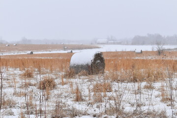 Canvas Print - Snowy Hay Field