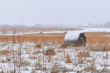 Canvas Print - Snowy Hay Field