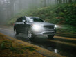 © Cavan Images - SUV automobile driving through foggy and rainy forest road