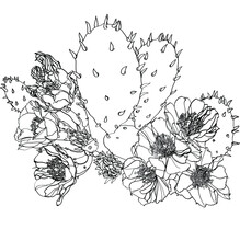 Hand Drawn Sketch Of Flowers