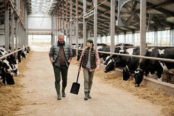 Mature owner of animal farm talking to teenage boy while moving between paddocks