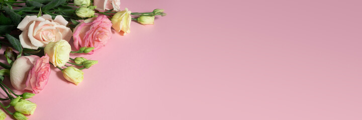 Wall Mural - pink roses and eustoma on a pink background. Mother's day concept and copy space. Banner