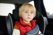© Maria Sbytova - Portrait of a preschooler boy sitting in a car seat and wearing a belt. Сhild bored during a family trip. Safety of children in transport.