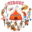 circus circle