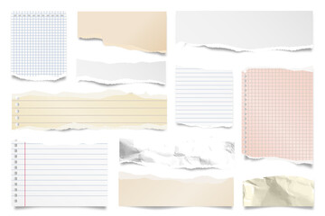 Wall Mural - colorful ripped paper strips isolated on white background. realistic lined paper scraps with torn ed