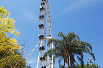 Canvas Print - ferris wheel