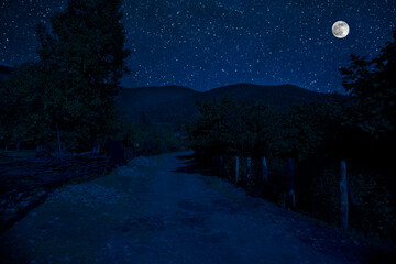 Wall Mural - Mystical landscape of Full Moon Rising over tall green meadow with trees at Forest; Skyline Silhouette