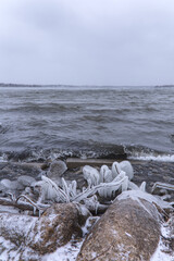 Wall Mural - White Rock Lake, Dallas, Texas.