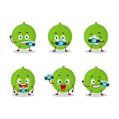 Poster - Photographer profession emoticon with alibertia fruit cartoon character