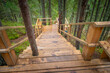 © Grispb - Route through the spruce forest. A wooden staircase leads through the forest. Organized walk through the spruce forest. Wooden stairs with places to relax while walking.