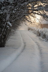 Poster - Rural road in a winter.