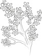 Coloring pages. Fruits, plants, flowers, leaves, trees, berries, beautiful women. Coloring for adults. Anti-stress coloring. Floral, tropical, nature themes to color.