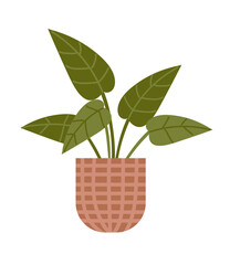 Poster - potted plant garden interior icon isolated design