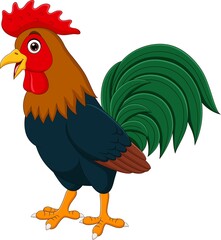 Poster - Cartoon funny rooster on white background