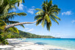 © JCB - Palm tree at Matira Beach on Bora Bora, French Polynesia