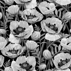 Wall Mural - Seamless pattern with gray Common Poppy (Papaver rhoeas) flowers isolated on black background.