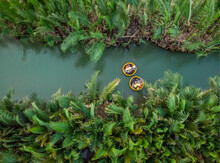 Hội An, Vietnam - 29 April 2019: Aerial View Of Tourists Doing An Excursion On Board Of Small Circular Coconut Boats In Thu Bon River.