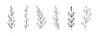 © Екатерина Заносиенко - Botanical linear leaf set. Abstract minimalist leaves collection, creative herbal art. Vector illustration
