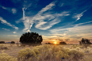 Wall Mural - Beautiful sunset over a field in Santa Fe, New Mexico