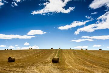 Poster - Harvested field with straw bales in Puy-de-Dome department, Auvergne-Rhone-Alpes, France