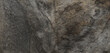 Grey and black concrete stone granite marble with yellow veins, Rusty marble of cement texture colorful effect, it can be used for interior-exterior home decoration and ceramic tile surface, wallpaper