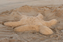 Sandy Sculpture Of A Turtle
