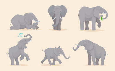 elephant. cute african wild animals large strong savannah elephants in various poses exact vector il