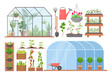 Greenhouse flower plant vegetable cultivation set, cartoon glasshouses for planting