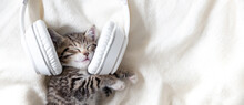 Cute Sleeping Striped Cat Kitten Listening Music In Headphones On White Bed. Musical Pets Banner. Copyspace 