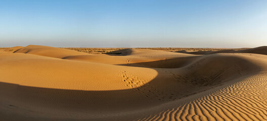 Fototapete - Panorama of dunes in Thar Desert, Rajasthan, India