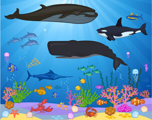 Wall Mural - Sea fish and mammal set