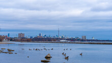 Toronto Skyline From The Lakeshore