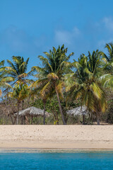 Canvas Print - Caribbean, Grenada, Mayreau Island. Thatched roof cabanas and beach.