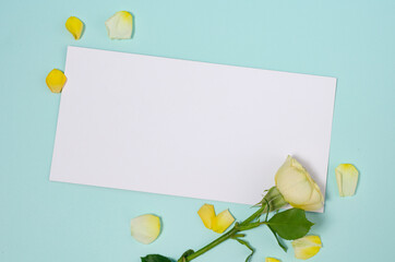 Wall Mural - Spring holiday design template. Mothers day or Valentine day background with yellow roses and on light blue background. Empty space for text
