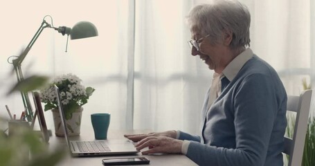 Wall Mural - Senior woman having a video call on her laptop