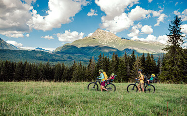 Wall Mural - family with small children cycling outdoors in summer nature, tatra mountains slovakia.
