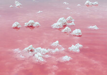 Pink Lake Very Beautiful White Salt Crystals On Pink Water Background Nice Background