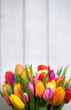 © Digihelion - Colorful bouquet of tulips on white wooden background. Spring flowers. Greeting card with copy space for Valentine's Day, Woman's Day and Mother's Day.