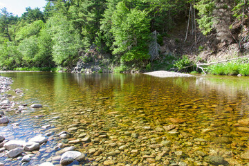 Sticker - Canada, Nova Scotia. Clear waters in the forest