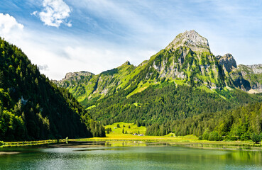 Canvas Print - View of Brunnelistock mountain at Obersee lake in the Swiss Alps