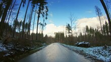 POV vehicle drive, evergreen forest, snow, narrow local road, tree trunks, car travel gopro point of view