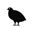 Female quail icon vector graphic illustration