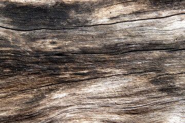 Wall Mural - Weathered wooden texture with cracks photo. Old timber surface closeup. Natural background for vintage design