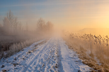 Wall Mural - The road leading dike between the lakes during the frosty, foggy sunrise