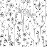 Fototapeta  - Pattern Flowers vector line drawing. Wildflowers. Buttercups. Wedding decorations.