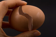 Broken Egg In Eggshell Half Isolated On Black Background.