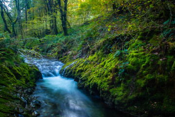  waterfall in the forest