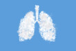 Human lungs shaped as a cloud on blue sky background. Cloudy in the shape of lungs. The bright sky is our lungs. World Pneumonia Day. World Tuberculosis Day.
