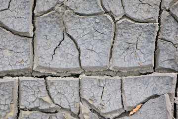 Wall Mural - ecology, drought, temperature, cracks in the ground close-up. Cracked earth, cracked soil. texture of grungy dry cracking parched earth. Global warming effect, summer heat